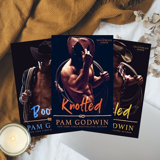 Trails of Sin series by Pam Godwin